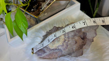 Load image into Gallery viewer, 8" Thunder Bay Chunky Lavender Amethyst Crystal Cluster
