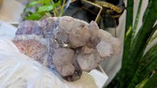Load image into Gallery viewer, 8" Thunder Bay Chunky Lavender Amethyst Crystal Cluster
