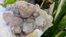 Load image into Gallery viewer, 8" Thunder Bay Chunky Lavender Amethyst Crystal Cluster
