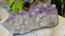 Load image into Gallery viewer, 11" Large Amethyst Crystal Cluster
