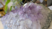 Load image into Gallery viewer, 11" Large Amethyst Crystal Cluster
