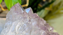 Load image into Gallery viewer, 11x5" Large Amethyst Crystal Cluster

