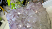 Load image into Gallery viewer, 11x5" Large Amethyst Crystal Cluster
