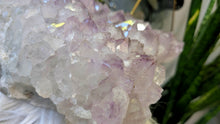 Load image into Gallery viewer, 11x5" Large Amethyst Crystal Cluster
