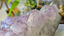 Load image into Gallery viewer, 11x5" Large Amethyst Crystal Cluster
