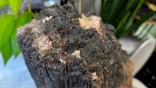 Load image into Gallery viewer, 8x7" Large Tourmaline &amp; Mica Mineral Cluster
