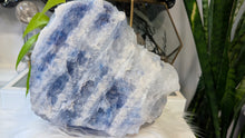 Load image into Gallery viewer, 7x7" RARE Large Blue Halite Mineral Cluster *FIRM*
