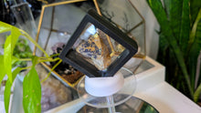 Load image into Gallery viewer, 2" Moroccan Azurite Crystal Cluster in Case
