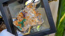 Load image into Gallery viewer, 2" Moroccan Azurite Crystal Cluster in Case
