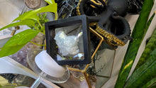 Load image into Gallery viewer, British Columbia Blue Calcite Crystal in Case

