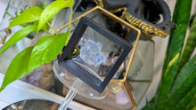 Load image into Gallery viewer, Rare Blue Halite Crystal in Display Case
