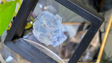 Load image into Gallery viewer, Rare Blue Halite Crystal in Display Case
