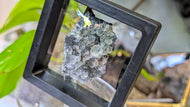 Green China Fluorite Crystal Cluster in Case