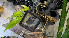 Load image into Gallery viewer, Green China Fluorite Crystal Cluster in Case
