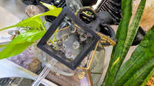 Load image into Gallery viewer, Tibetan Phantom Quartz Crystal Diamonds in Case 6pcs
