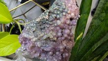 Load image into Gallery viewer, 5.5" Botryoidal Druzy Grape Agate Crystal Cluster
