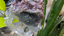 Load image into Gallery viewer, 5.5" Botryoidal Druzy Grape Agate Crystal Cluster

