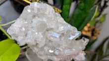 Load image into Gallery viewer, 7" Clear Quartz Crystal Cluster
