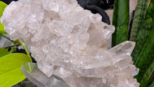 Load image into Gallery viewer, 7" Clear Quartz Crystal Cluster
