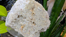 Load image into Gallery viewer, 5" Clear Quartz Crystal Cluster
