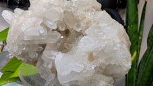 Load image into Gallery viewer, 5" Clear Quartz Crystal Cluster
