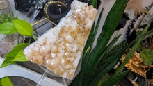 Load image into Gallery viewer, 8" Citrine Quartz Crystal Cathedral
