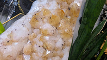 Load image into Gallery viewer, 8" Citrine Quartz Crystal Cathedral
