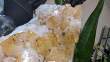 Load image into Gallery viewer, 8" Citrine Quartz Crystal Cathedral
