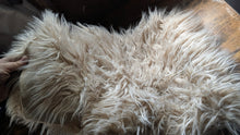 Load image into Gallery viewer, Faux Fur Seat Cover or Pillow Cover or Heat Pad Cover ???
