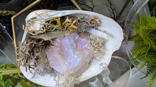 Load image into Gallery viewer, Aura Quartz, Selenite Crystal &amp; Artificial Moss in Seashell (stand Included)
