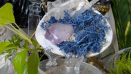 Amethyst & Selenite Crystals in Moss Seashell (stand Included)
