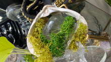Load image into Gallery viewer, Crackle Quartz Crystal &amp; Artificial Moss in Seashell (stand Included)
