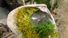 Load image into Gallery viewer, Crackle Quartz Crystal &amp; Artificial Moss in Seashell (stand Included)
