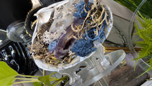 Load image into Gallery viewer, Selenite, Aura Quartz, Occo Geode in Moss Seashell (stand Included)
