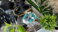 Selenite & Occo Geode in Moss Seashell (stand Included)