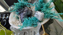 Load image into Gallery viewer, Selenite &amp; Occo Geode in Moss Seashell (stand Included)
