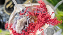 Load image into Gallery viewer, Amethyst, Citrine, Selenite Crystals &amp; Artificial Moss in Seashell (stand Included)
