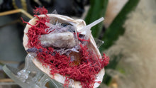 Load image into Gallery viewer, Amethyst, Citrine, Selenite Crystals &amp; Artificial Moss in Seashell (stand Included)
