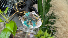 Load image into Gallery viewer, Larimer Quartz Crystal in Moss Seashell (Stand Included)
