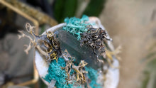 Load image into Gallery viewer, Larimer Quartz Crystal in Moss Seashell (Stand Included)
