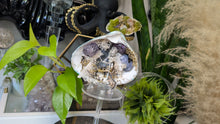 Load image into Gallery viewer, Crackle Quartz, Selenite &amp; Artificial Moss in Seashell (stand Included)
