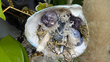Load image into Gallery viewer, Crackle Quartz, Selenite &amp; Artificial Moss in Seashell (stand Included)

