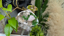 Load image into Gallery viewer, Aura Quartz, Selenite Crystal &amp; Artificial Moss in Seashell (stand Included)
