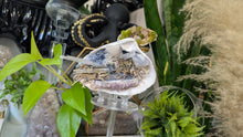Load image into Gallery viewer, Amethyst, Quartz, Selenite &amp; Blue Lace Agate Seashell (stand Included)
