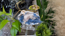 Load image into Gallery viewer, Aura Quartz, Selenite Crystal &amp; Artificial Moss in Seashell (stand Included)
