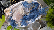 Aura Quartz, Selenite Crystal & Artificial Moss in Seashell (stand Included)