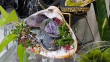 Load image into Gallery viewer, Amethyst Crystal &amp; Artificial Moss in Seashell (stand Included)
