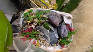 Amethyst Crystal & Artificial Moss in Seashell (stand Included)