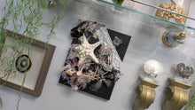 Load image into Gallery viewer, Coastal Seashell Canvas Beach Ocean Art
