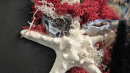 Occo Geode Pampas Seashell Canvas Beach Ocean Art